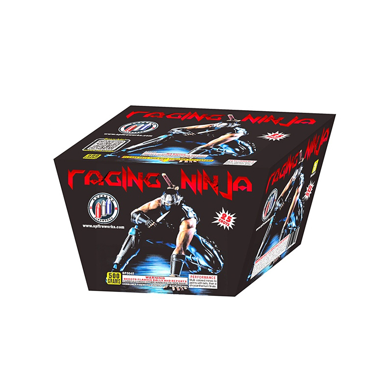Raging Ninja