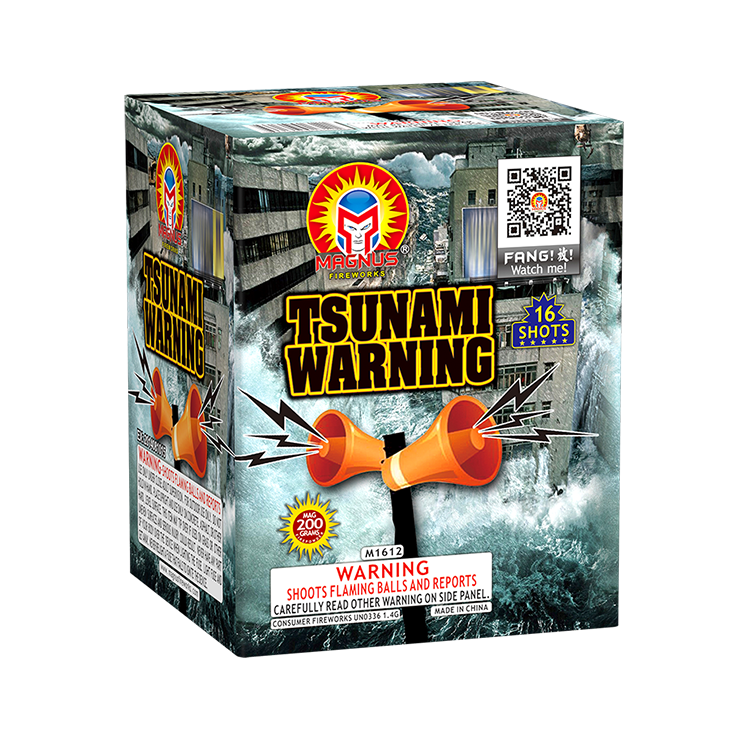 Tsunami Warning