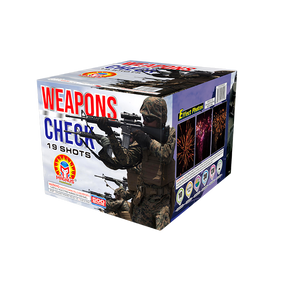 Weapons Check